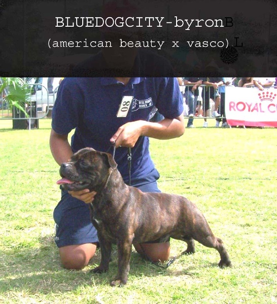 Byron de bluedogcity