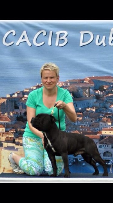 de bluedogcity - CH Darwin BDC Domidar Z'Hambalek Busin Handler Simona Lahodova