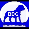  - Bluedogcity 
