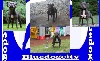  - Bluedogcity 3 Champions produit sous notre affix 