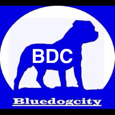 de bluedogcity - Bluedogcity 