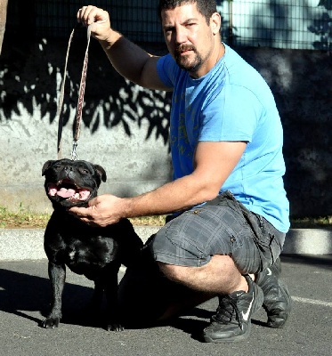 de bluedogcity - Retour de notre nouveau Champion Trufflestaff Boniti Bohani 