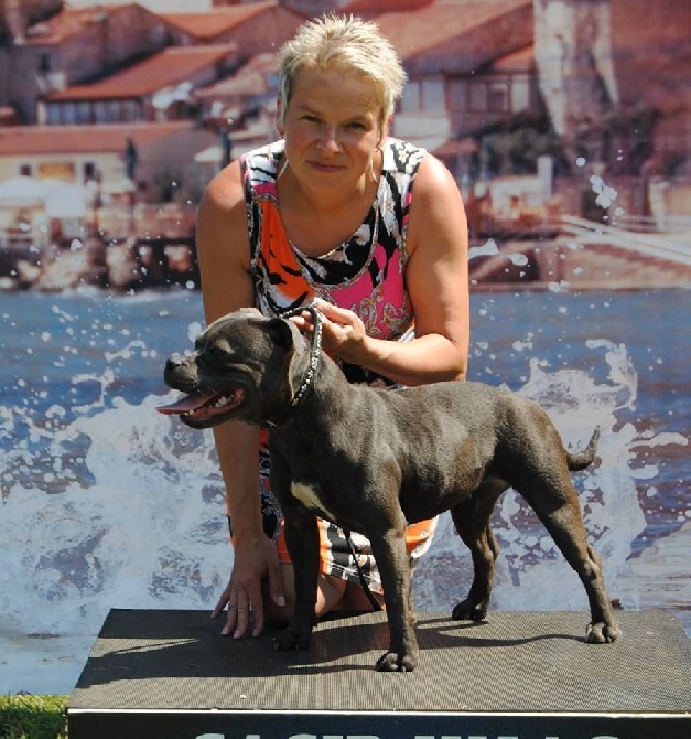 de bluedogcity - New Jeune Championne Of Croatia Bluedogcity Irina