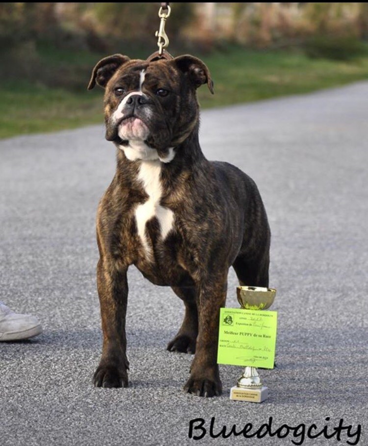 Bianka BDC Fransimo nouvelle jeune championne du Monténégro 